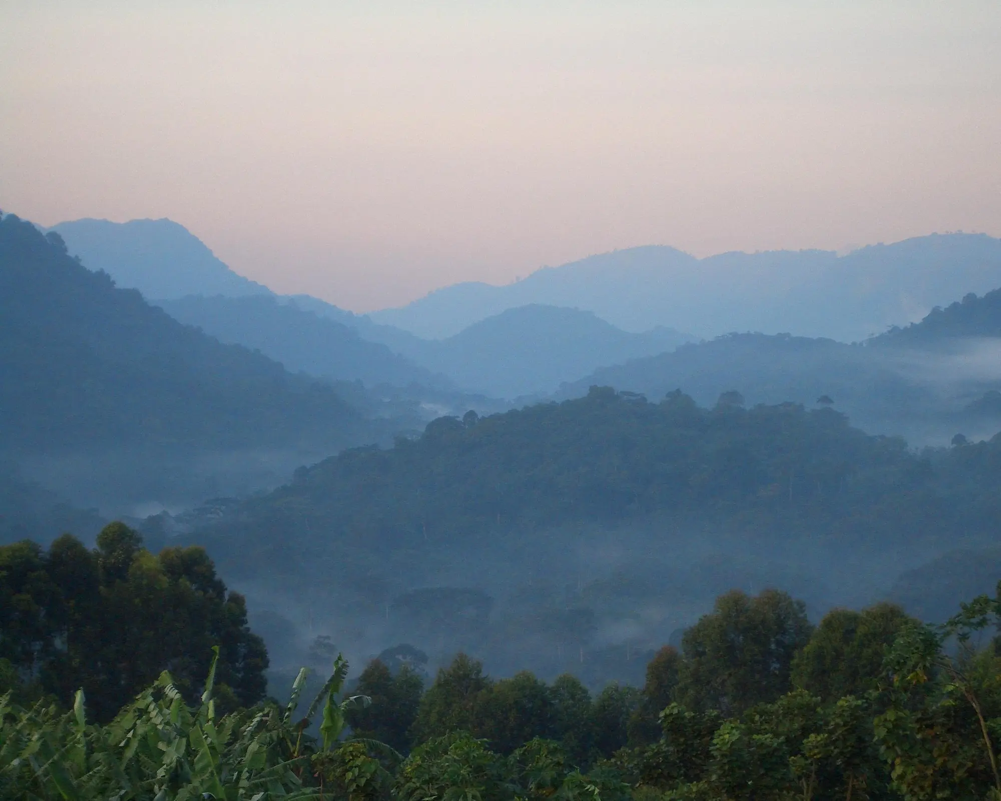 Thousand Hills Safari