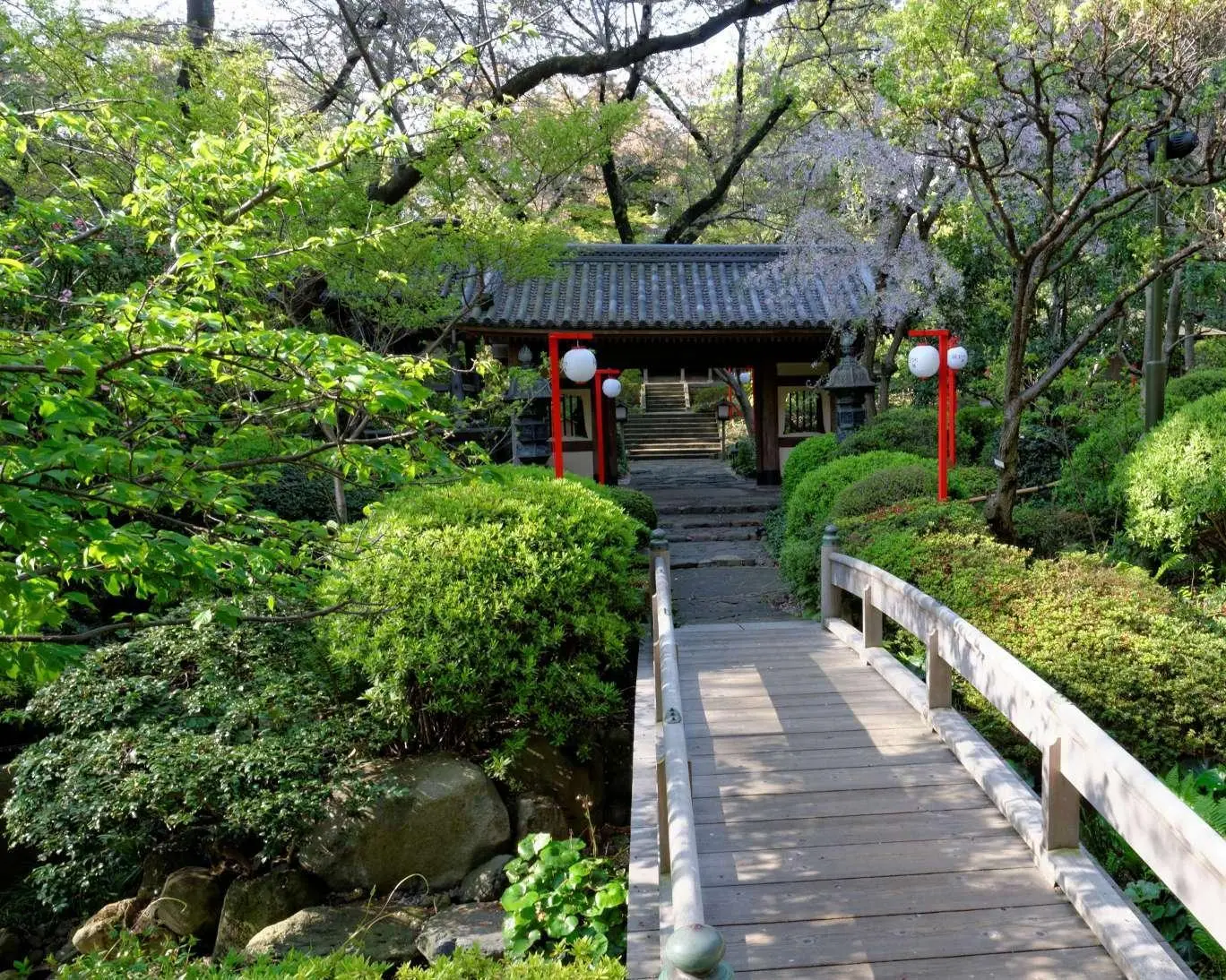 MTPE-30025 JAPÓN ESPIRITUAL
