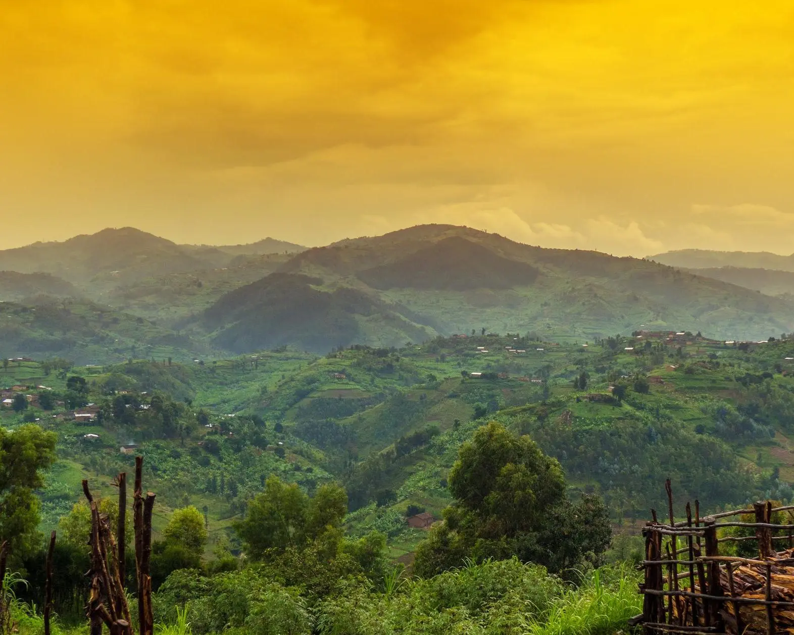 Thousand Hills Safari