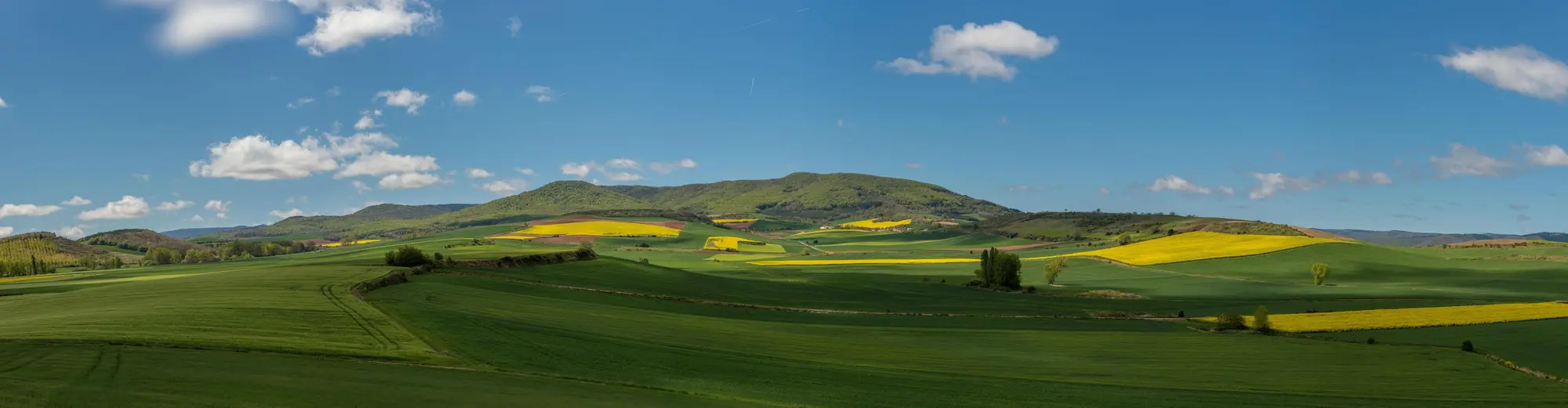 O Amenal, Hiszpania