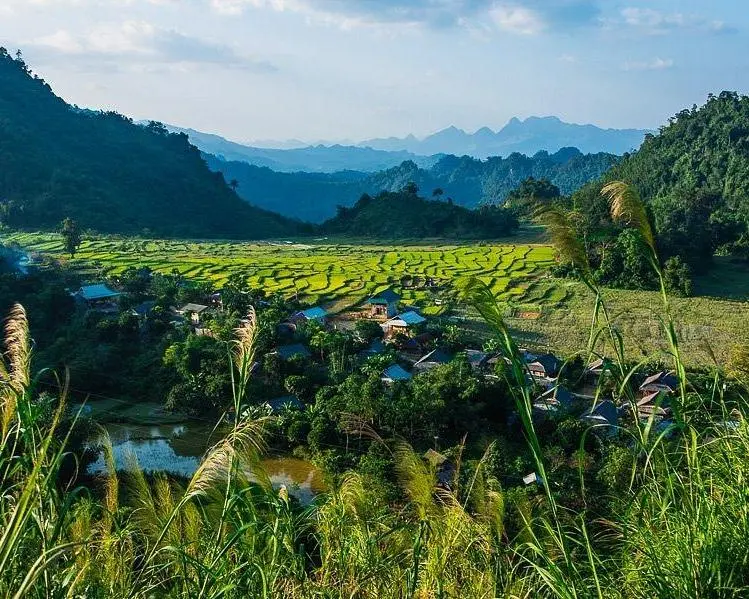 Traces du Vietnam