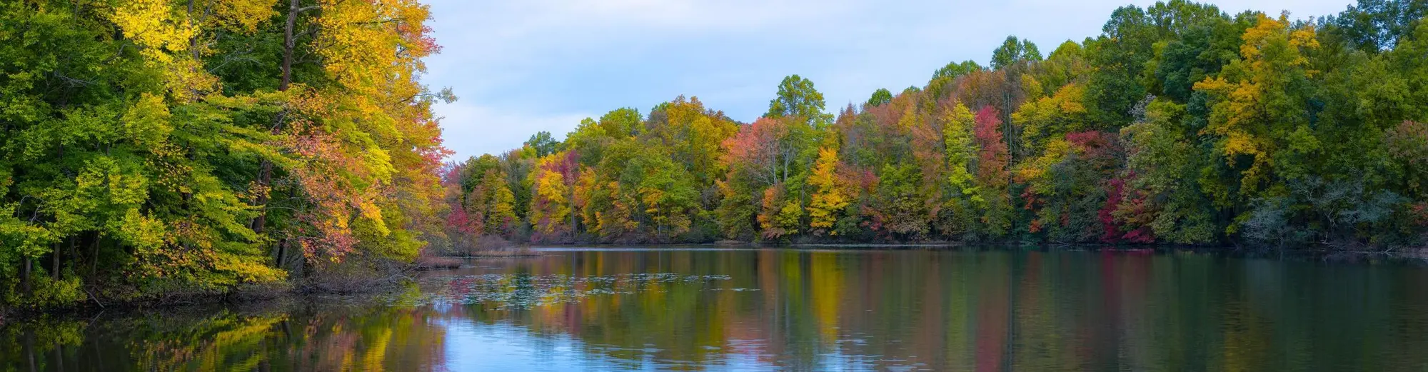 Clifton NJ, Amerika Syarikat