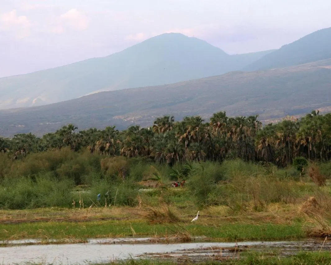 Exclusive Tanzania