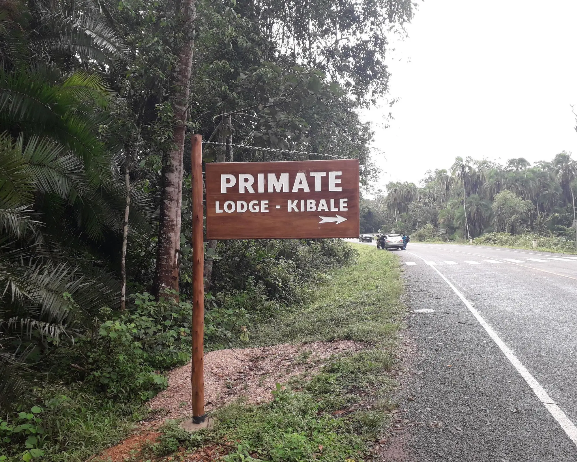 Thousand Hills Safari