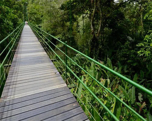 Entre Jungle, Plages et Volcan