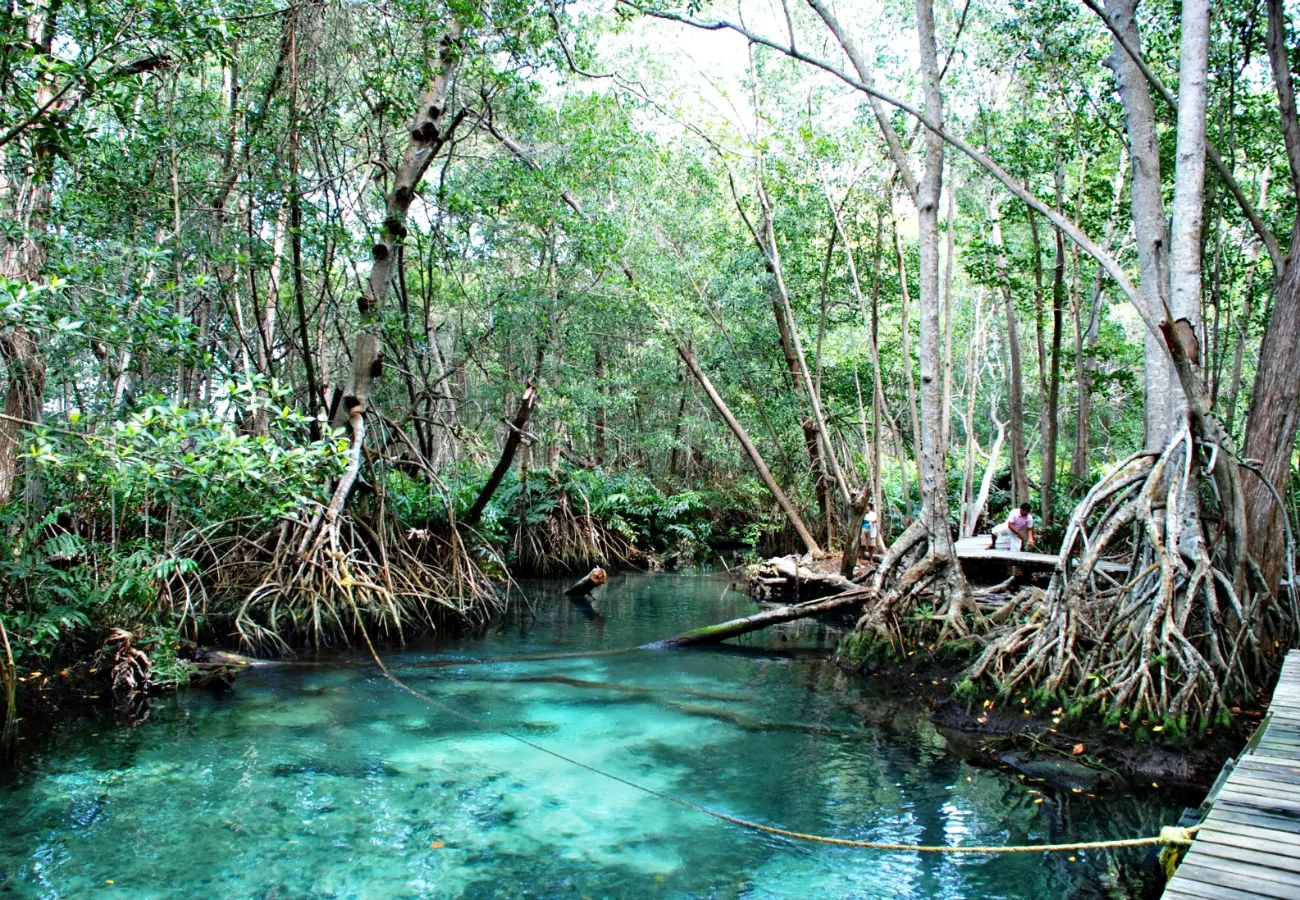 Ame du Yucatan