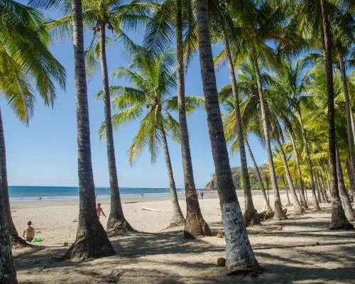Entre Jungle, Plages et Volcan