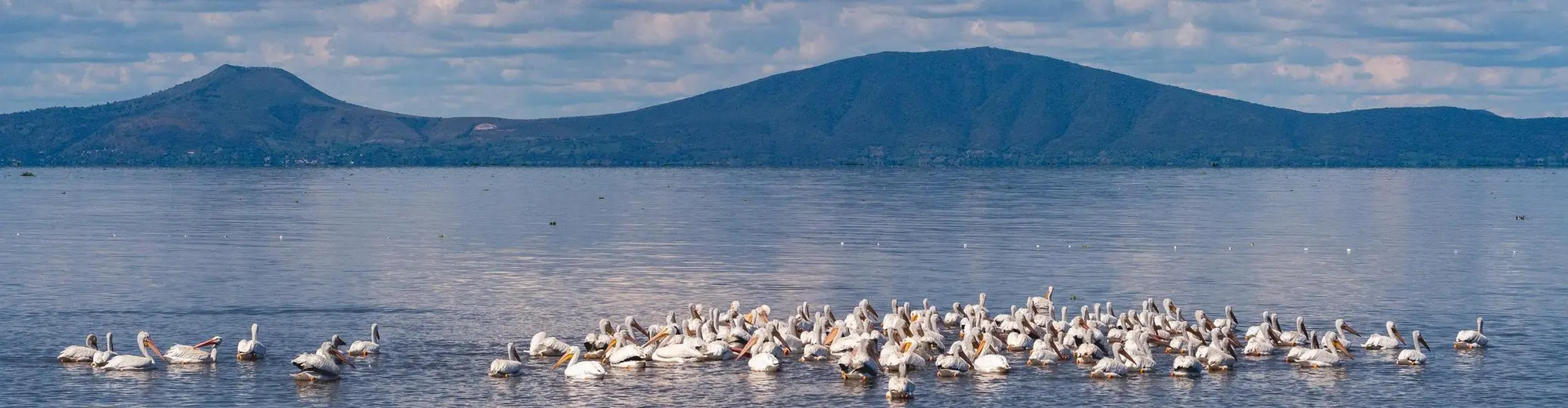 Naivasha, Keňa