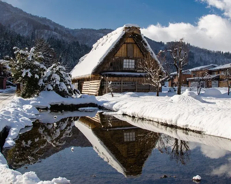 Immersion au Japon