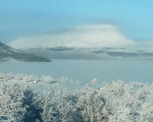 Magie Arctique
