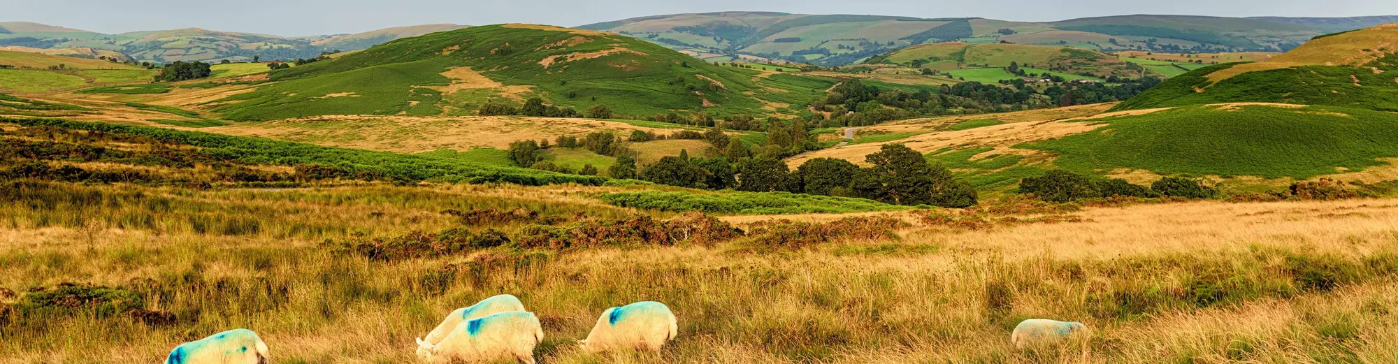 Llandrindod Wells, انگلیس