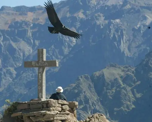 Peru Gran Tour Colca