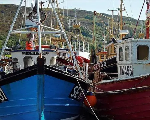 Les Orcades et Skye
