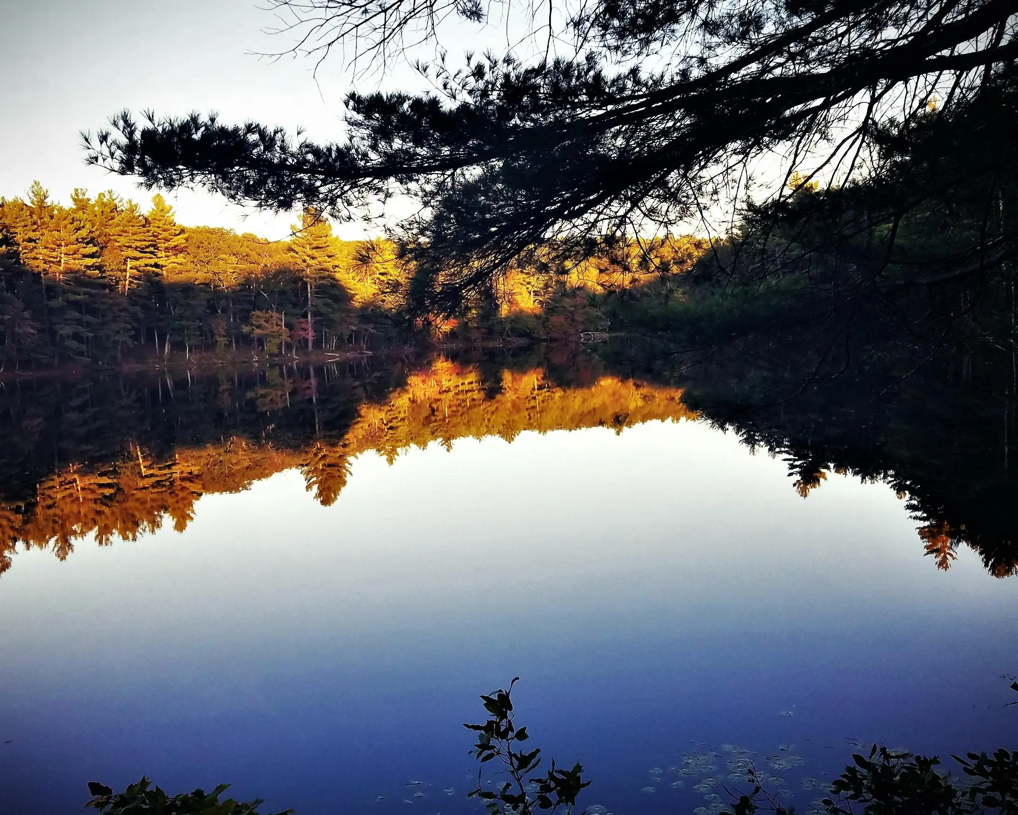 Classic New England - Standard