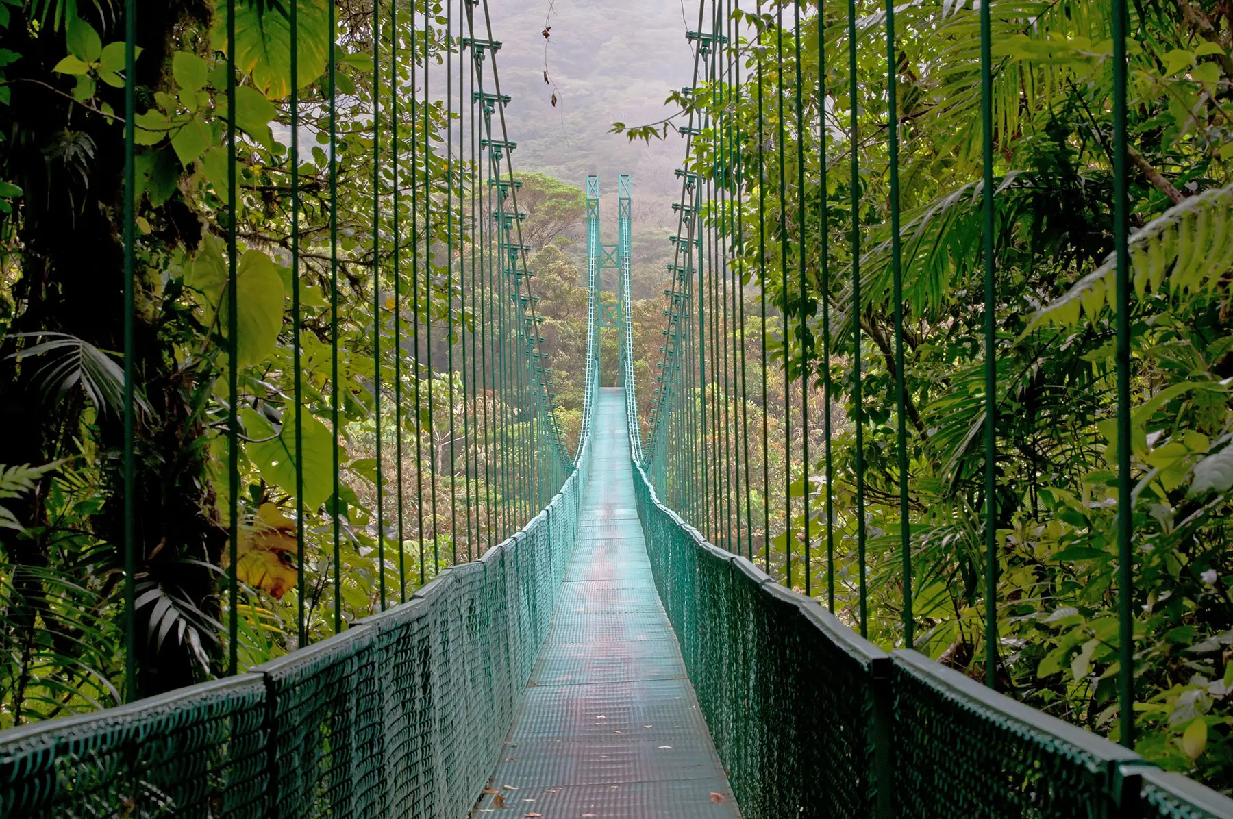 Monteverde, Costa Rica