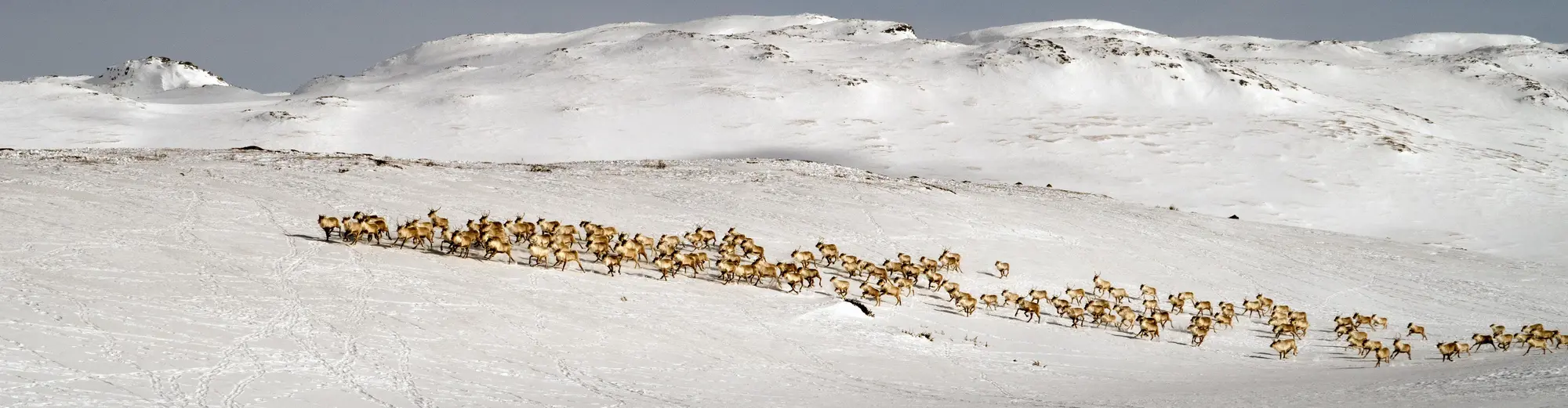 Hovden, Noruega