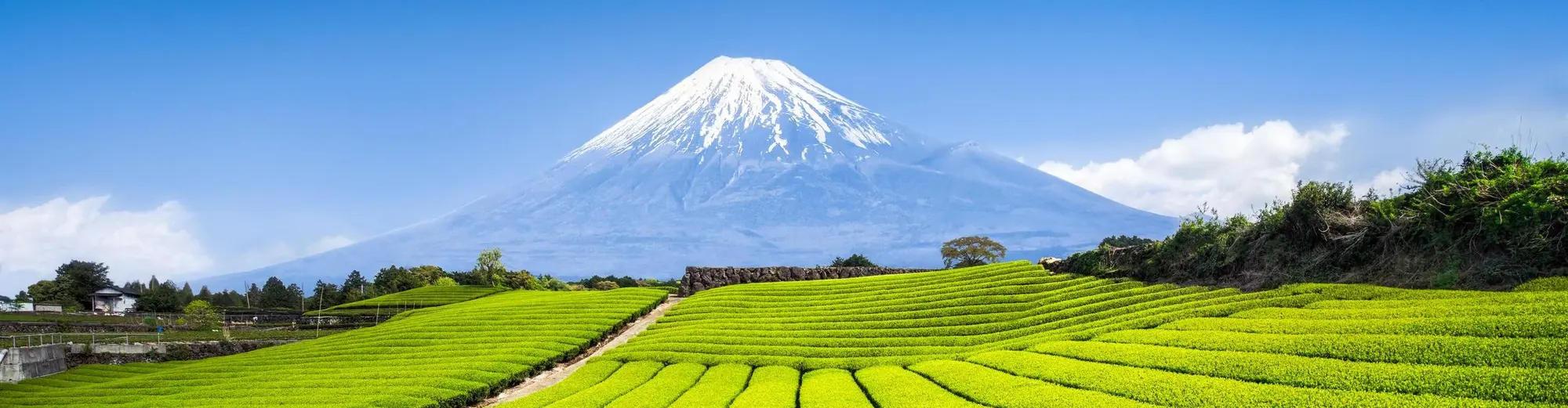 Shizuoka, Japó