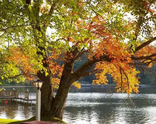 Classic New England - Standard