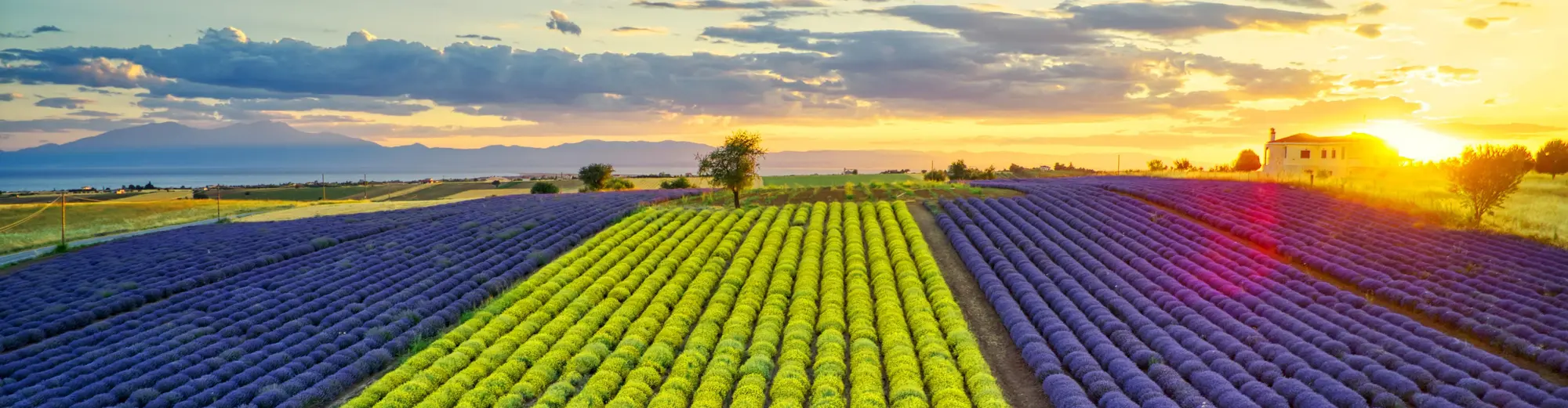 Saloniki (nie używać), Grecja