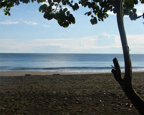 Entre Jungle, Plages et Volcan