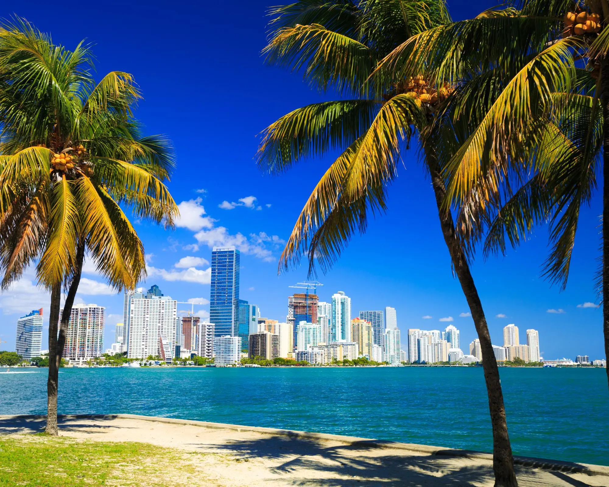 Miami Beach FL, United States of America