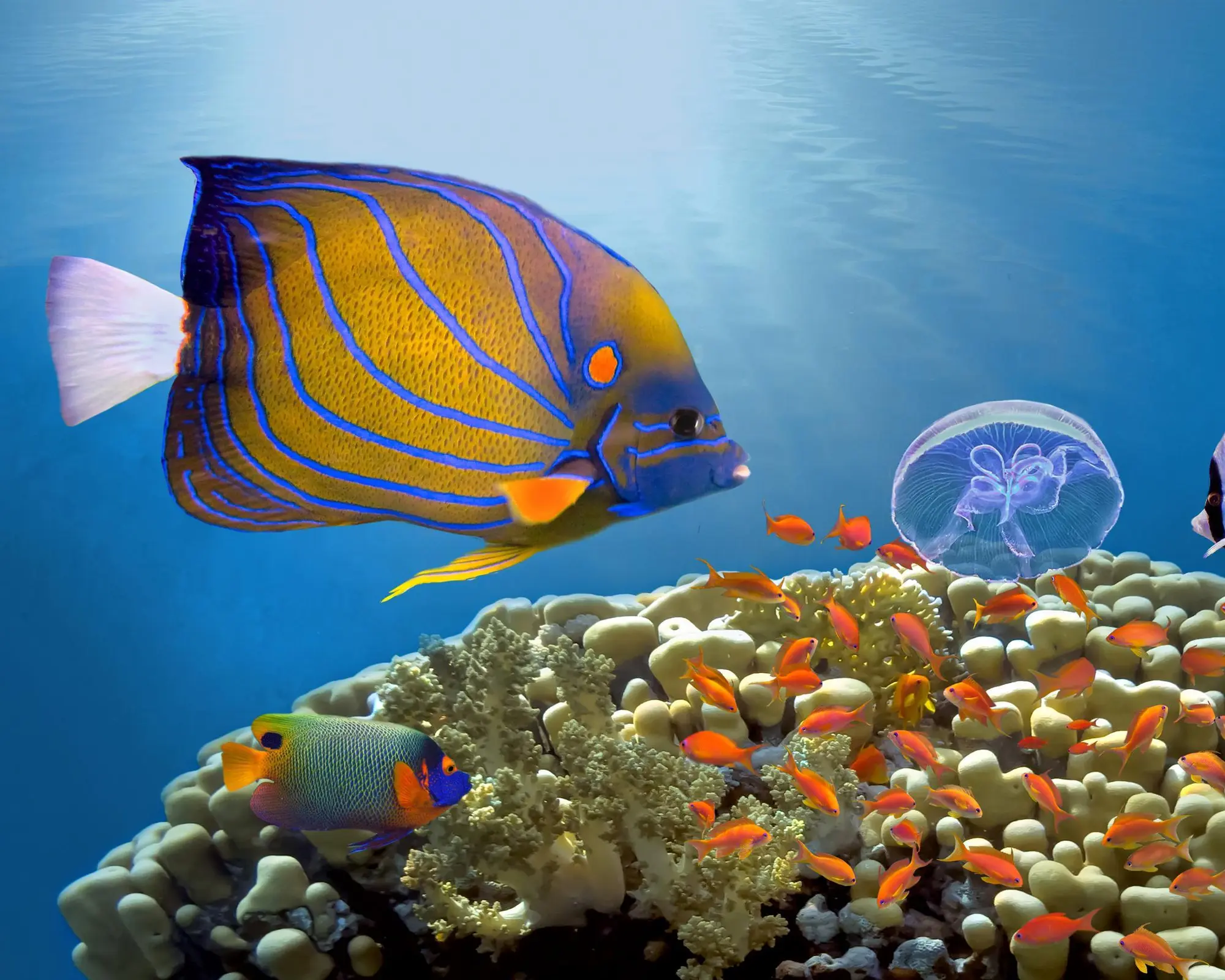 Sharm el-Sheikh, Egypte