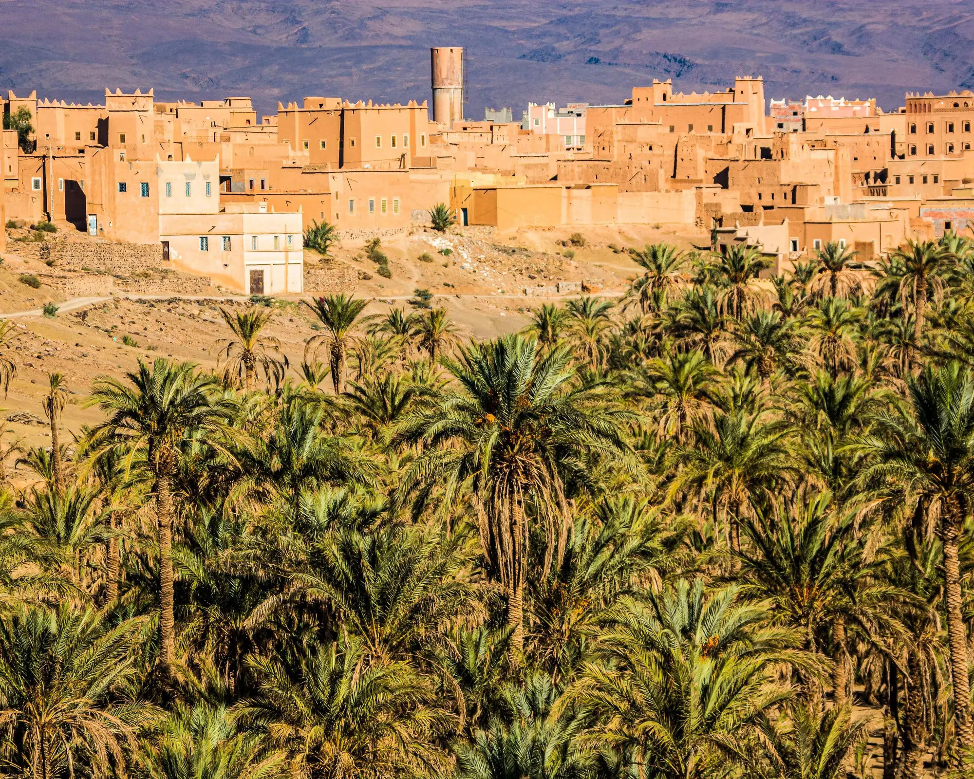 Nkob, Maroc