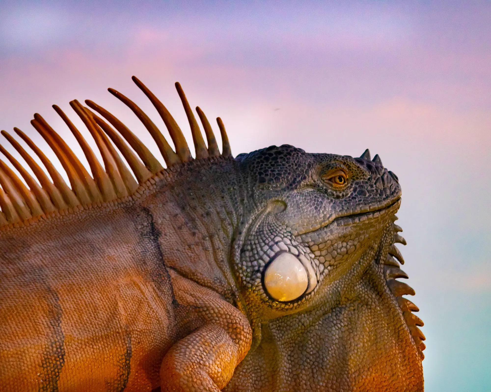 Santa Elena, (Q. Roo), مکزیک