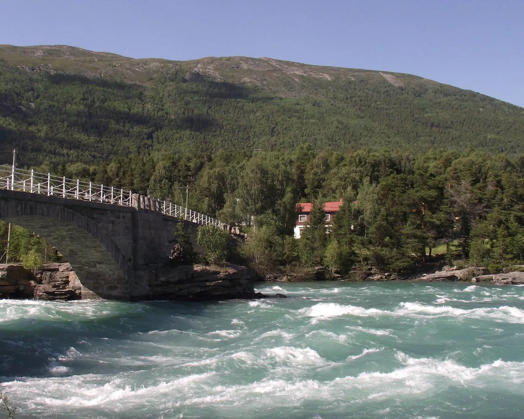 Splendore dei Fiordi