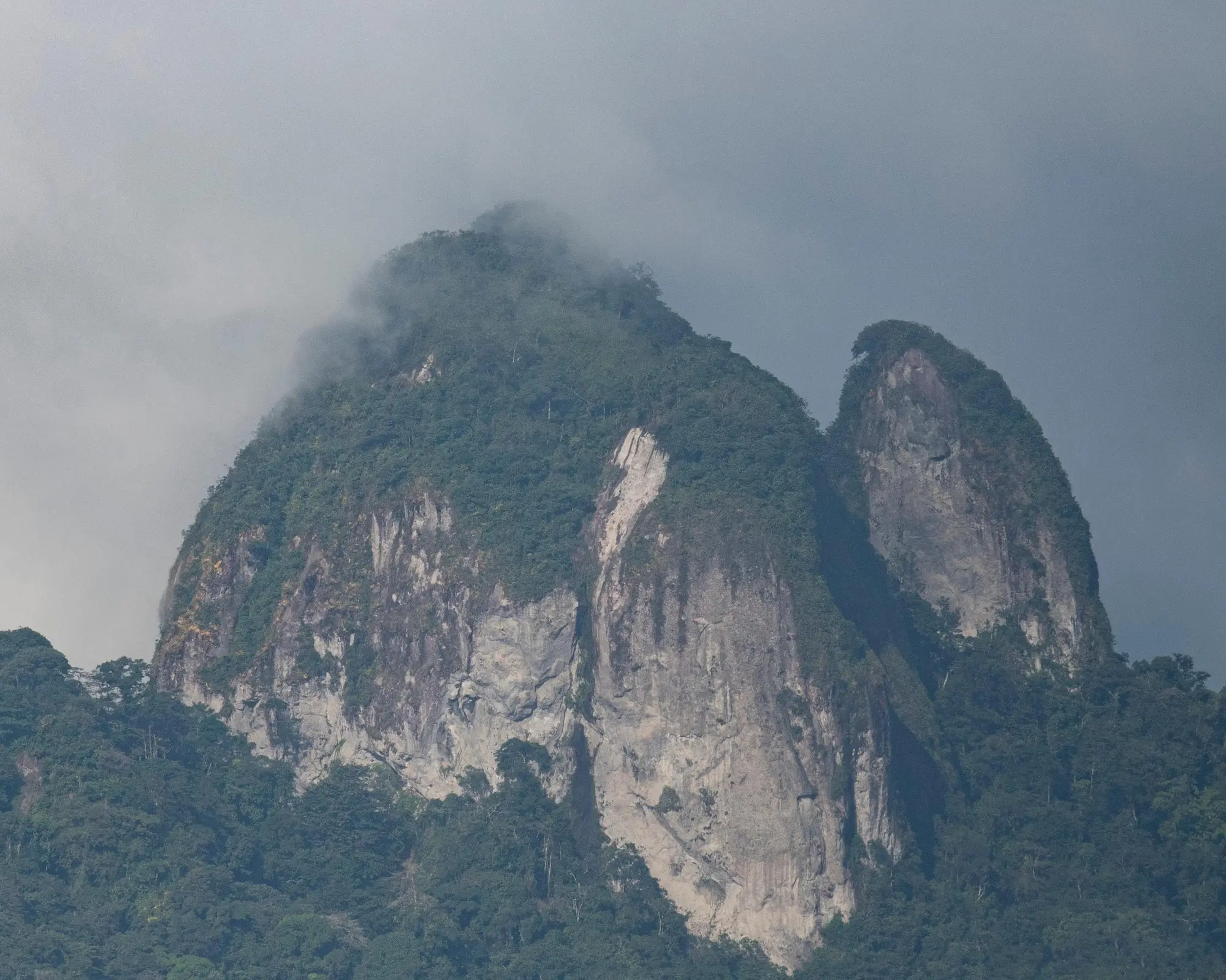 Altos de Campana National Park, پاناما