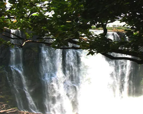 Cape Town, Kruger & Zimbabwe