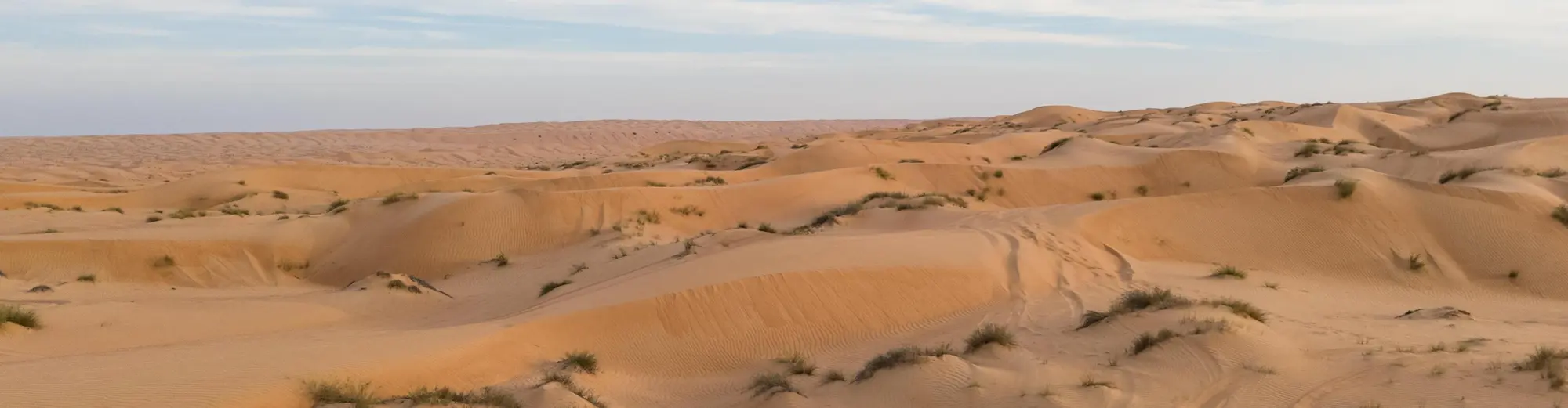 Nisipurile A'Sharqiyah, Oman