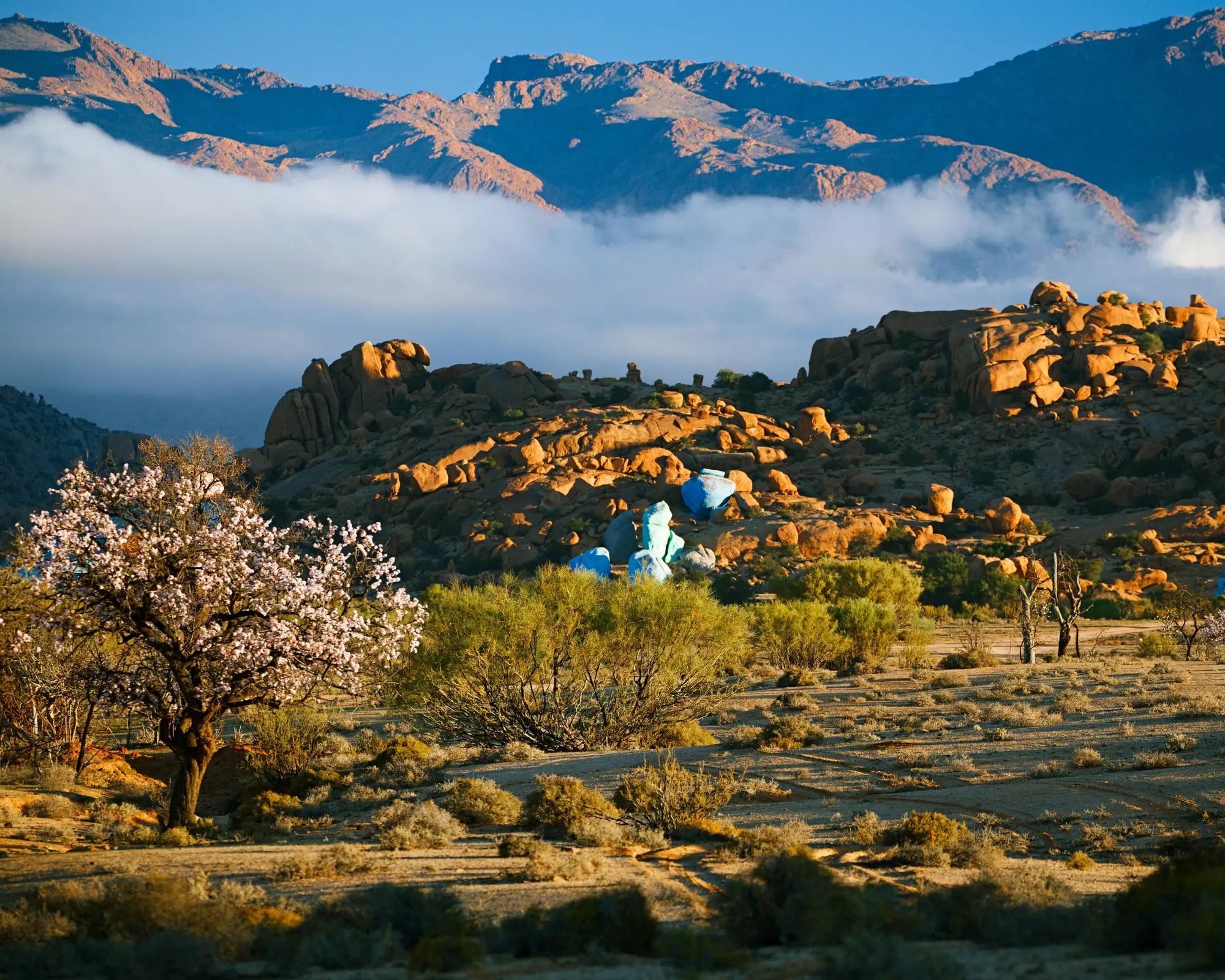 Morroco Scenic Multi-Activity Self-Drive Road Trip - 13 Days