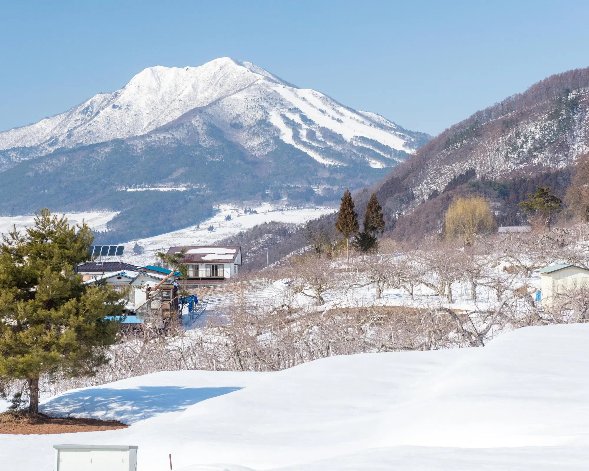 Yudanaka, Japonsko