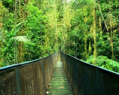 Entre Jungle, Plages et Volcan