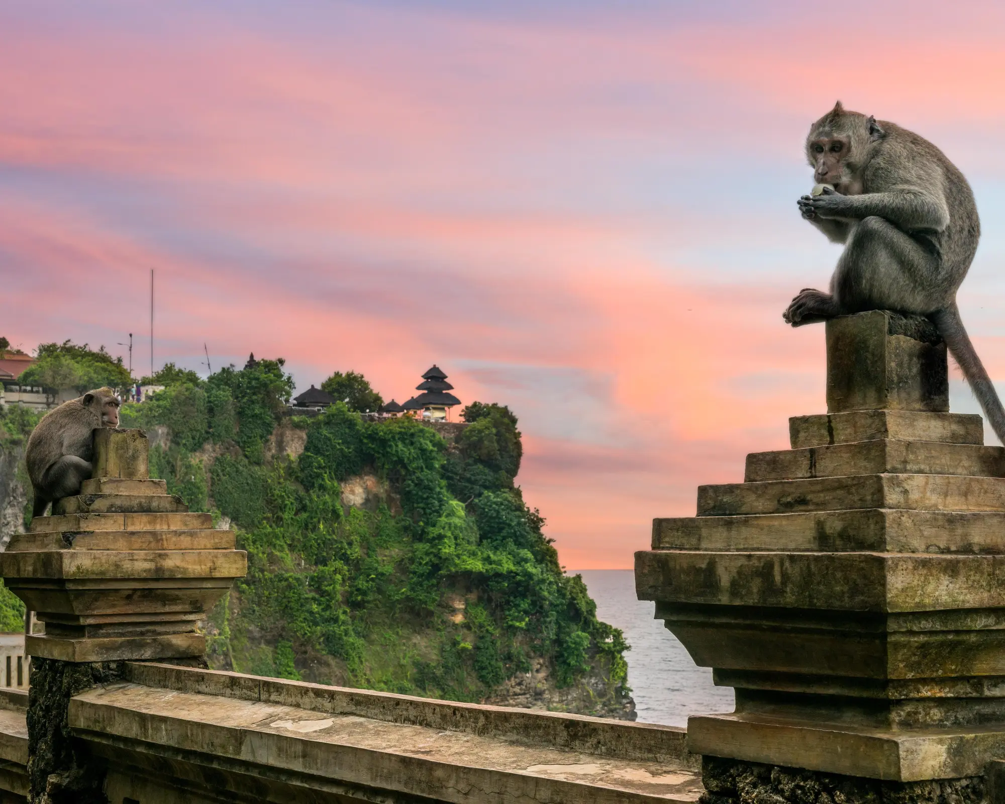 Manggis, Indonesia