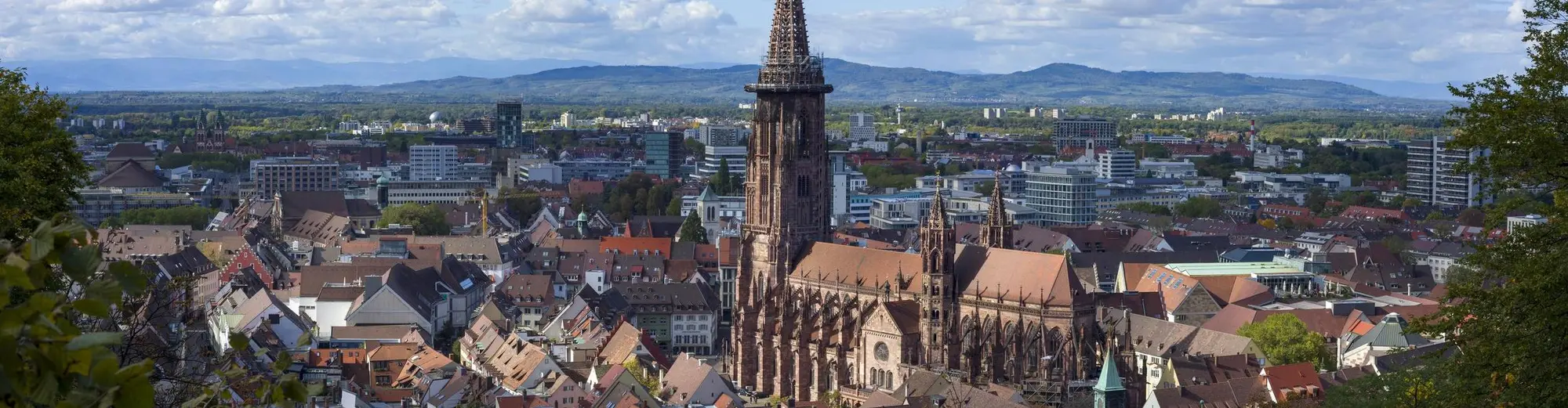 Freiburg (Province), Alemanya