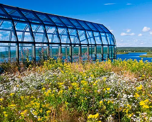Séjour Multi-activités à Rovaniemi