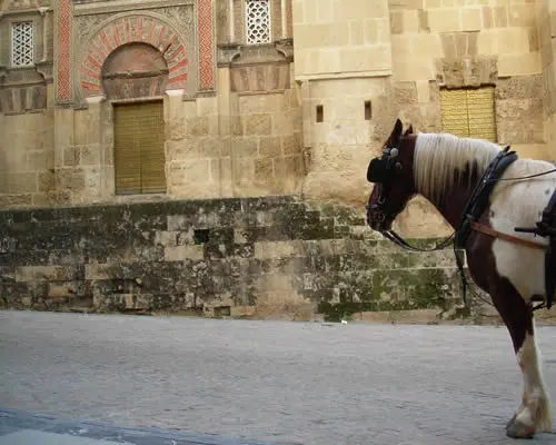 I Colori dell’Andalusia 2026