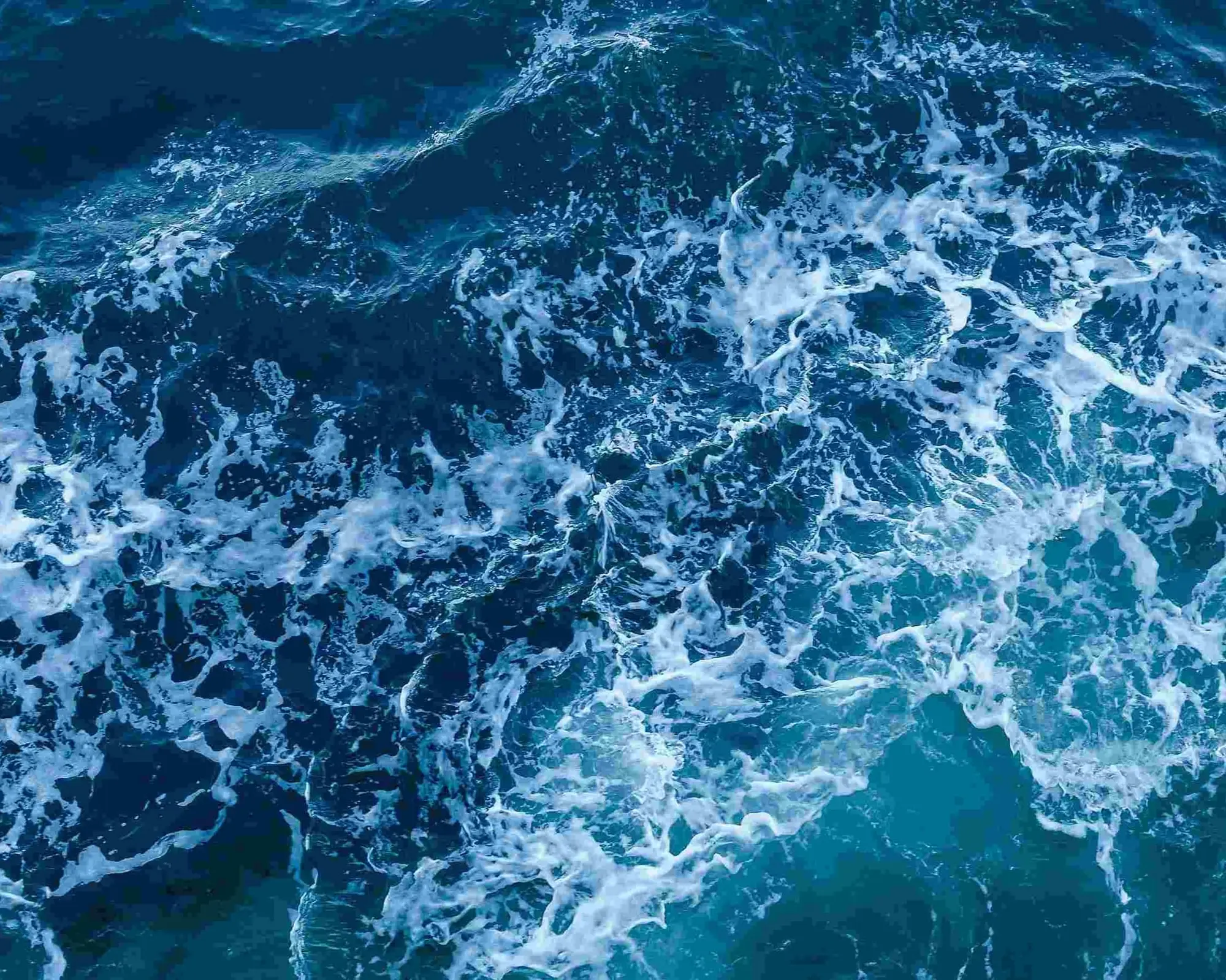 In Navigation (Aswan), مصر