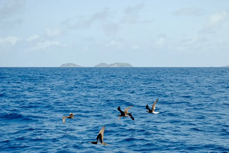 Grenada, Grenada