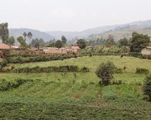 Thousand Hills Safari