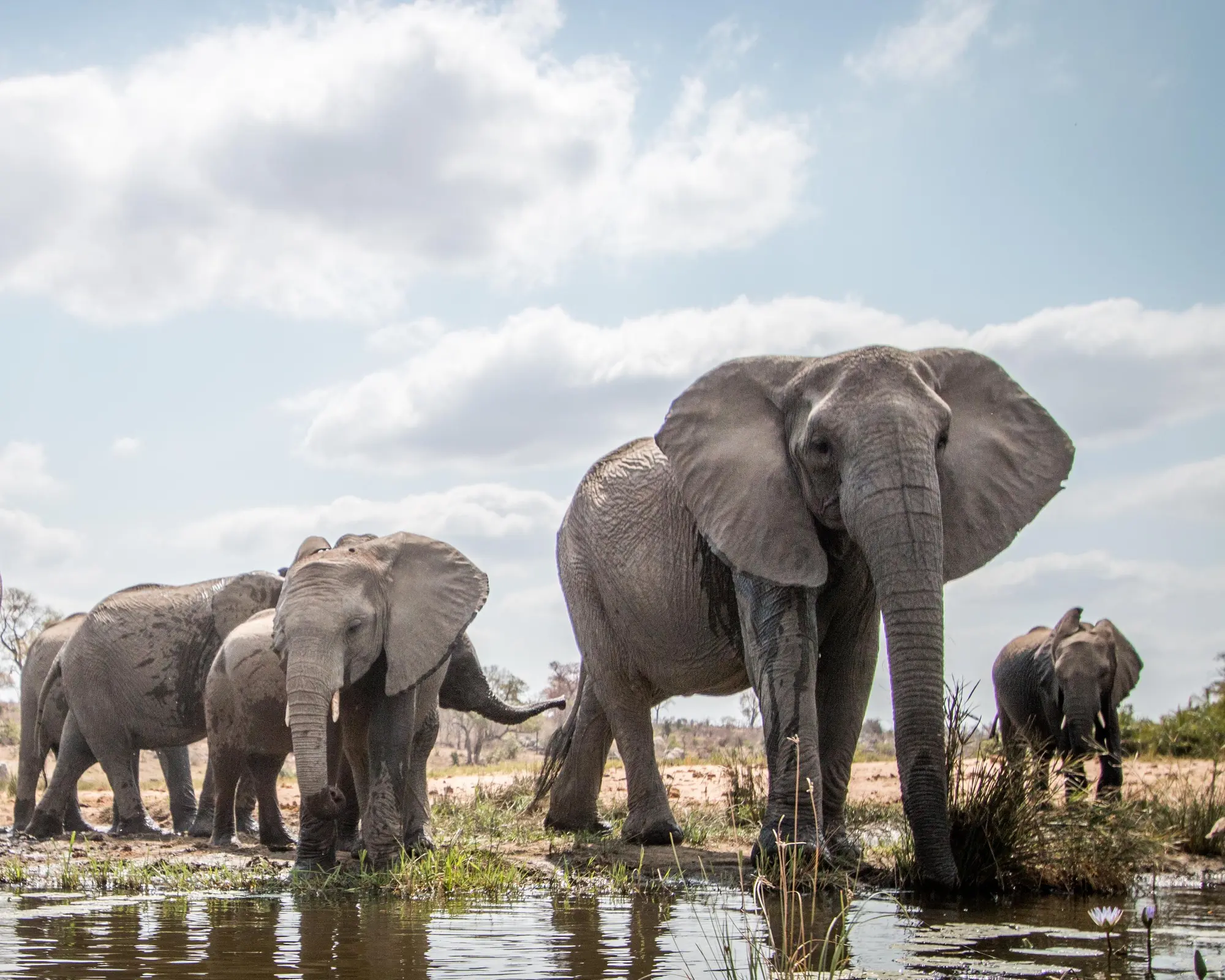 Glamping - Gardenroute bis Kruger - Standard