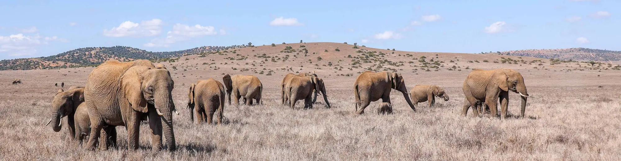 Laikipia, Kenia