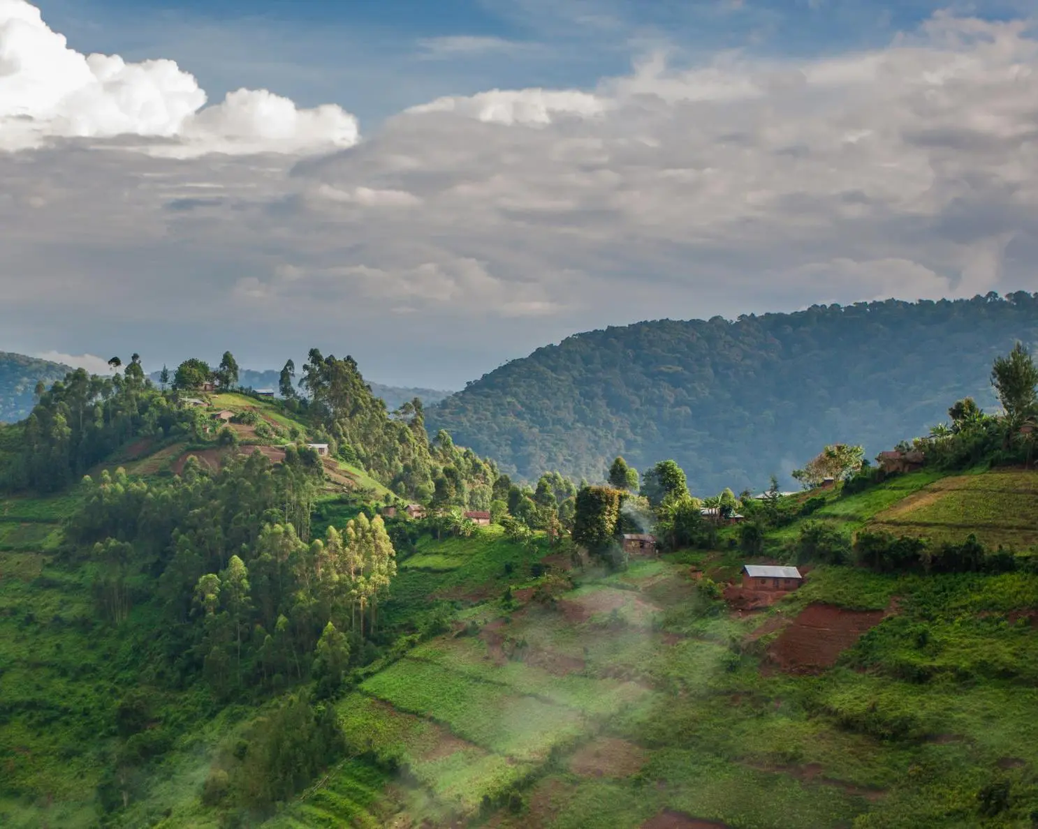 Thousand Hills Safari