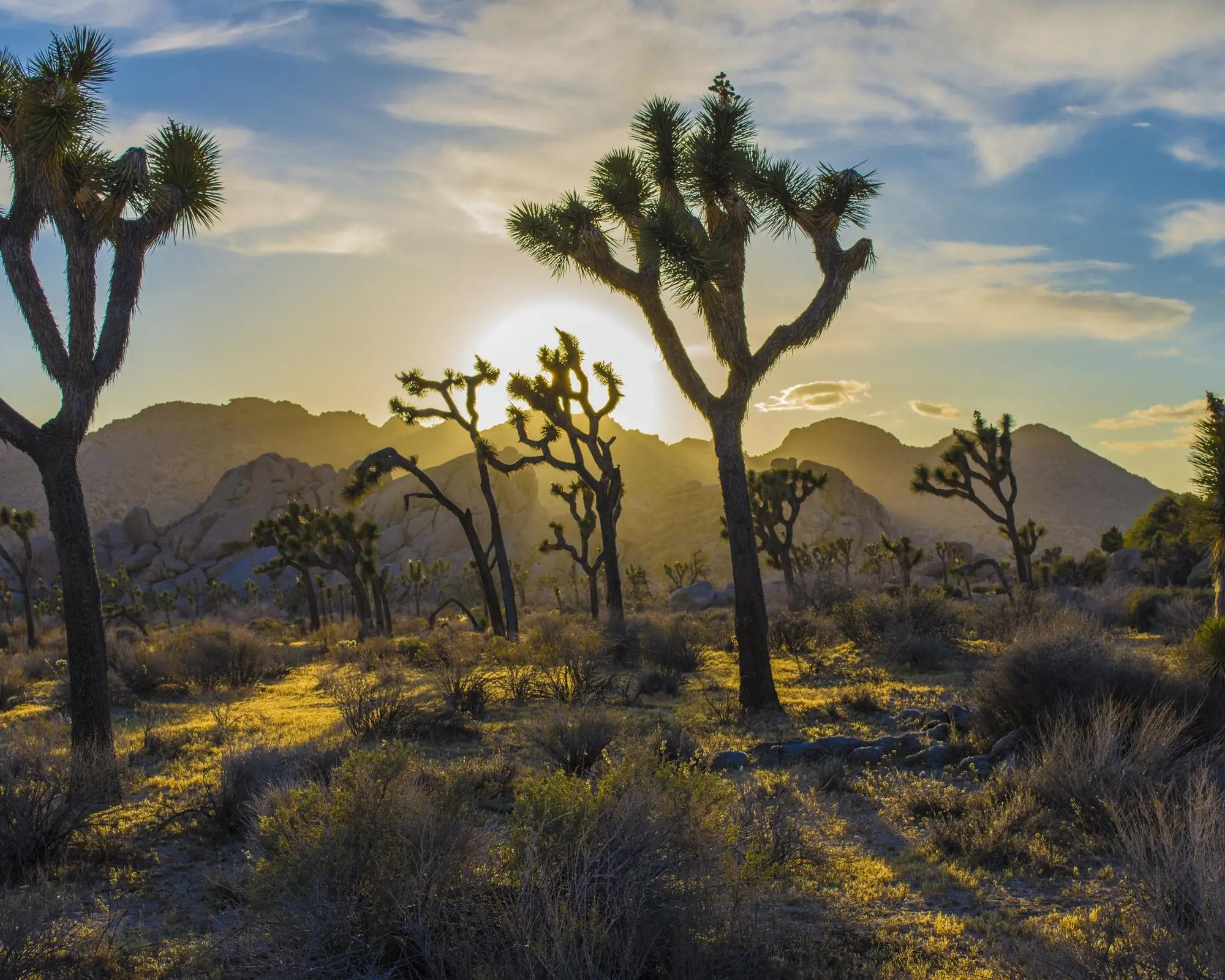 Barstow CA, Stati Uniti d'America