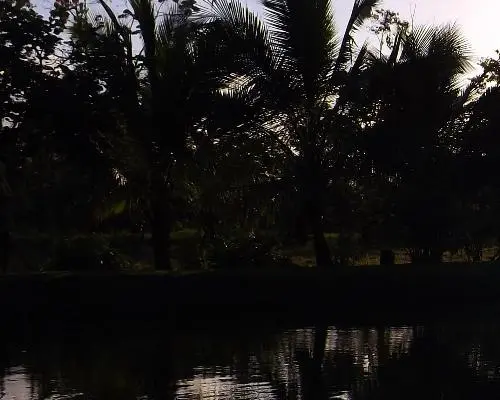 Entre Jungle, Plages et Volcan