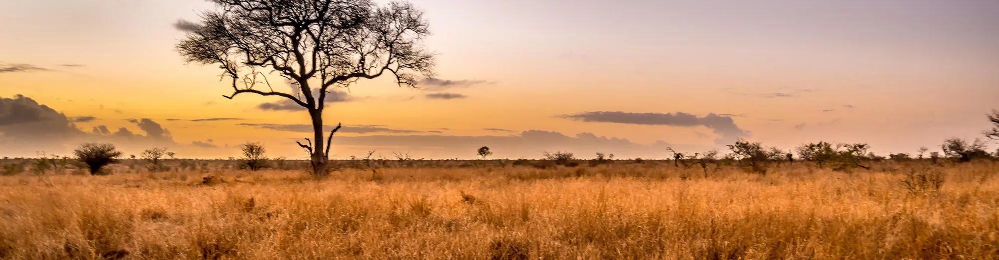 Makalali Reserve, جنوب أفريقيا