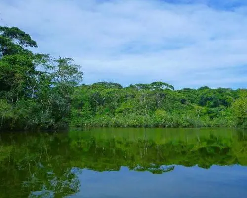 Entre Jungle, Plages et Volcan