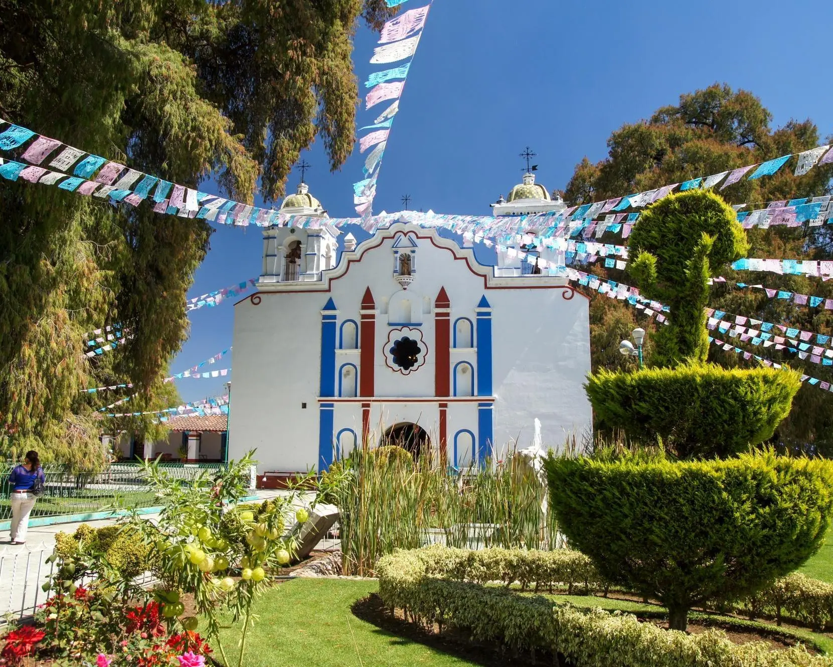 Árbol del Tule, Meksyk